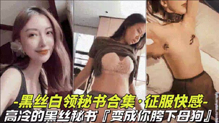 【黑丝白领秘书大合集】高冷黑丝秘书变成胯下母狗视觉上的享受